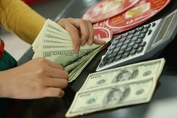 ty gia ngoai te 710 ong trump xuat vien khien usd tang gia co nen ban ra