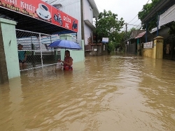 mua cuc lon nuoc ngap ngang nguoi cay do la liet