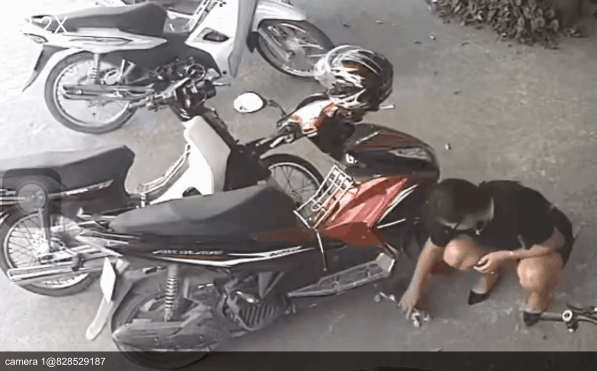 Người phụ nữ nắm cổ con mèo, nhét vào "chỗ hiểm" mang đi