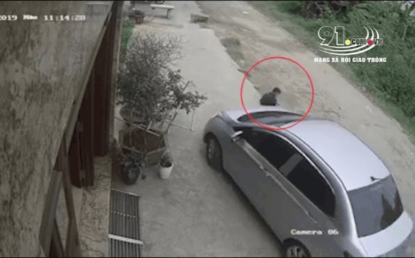 Ngồi chơi trước mũi ô tô, bé trai lọt gầm xe ngay sau đó