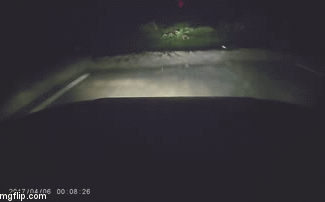 Đi theo biển chỉ dẫn xe Ford Everest lao thẳng xuống ruộng