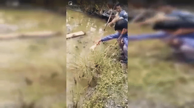 Câu cá bằng chân gà có "một không hai" ở miền Tây