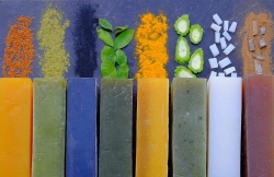 xa bong sinh duoc qua tang tu thien nhien