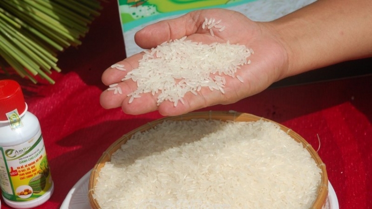 Gạo ST25 bày bán tại Hà Nội là mạo danh
