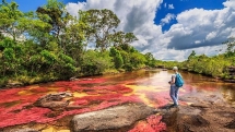 Dòng sông dài 100 km, nhiều màu sắc ở Colombia