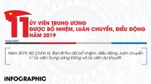 11 uy vien trung uong duoc bo nhiem luan chuyen dieu dong nam 2019