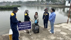 Công nhân thoát nước Hà Nội hướng dẫn, giúp đỡ người dân thả cá đúng quy định