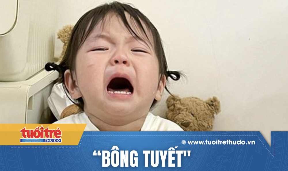 the he bong tuyet la gi