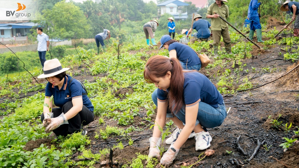 BV Run 2025: Hành trình xanh của Bách Việt Group