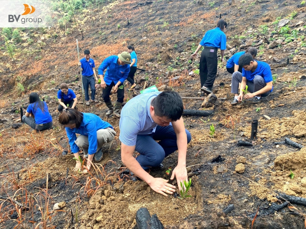 BV Run 2025: Hành trình xanh của Bách Việt Group
