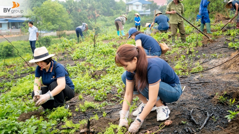 BV Run 2025: Hành trình xanh của Bách Việt Group