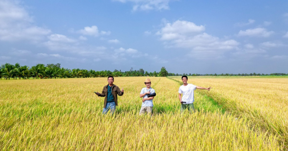 Nhiều người trẻ chọn "di cư ngược"