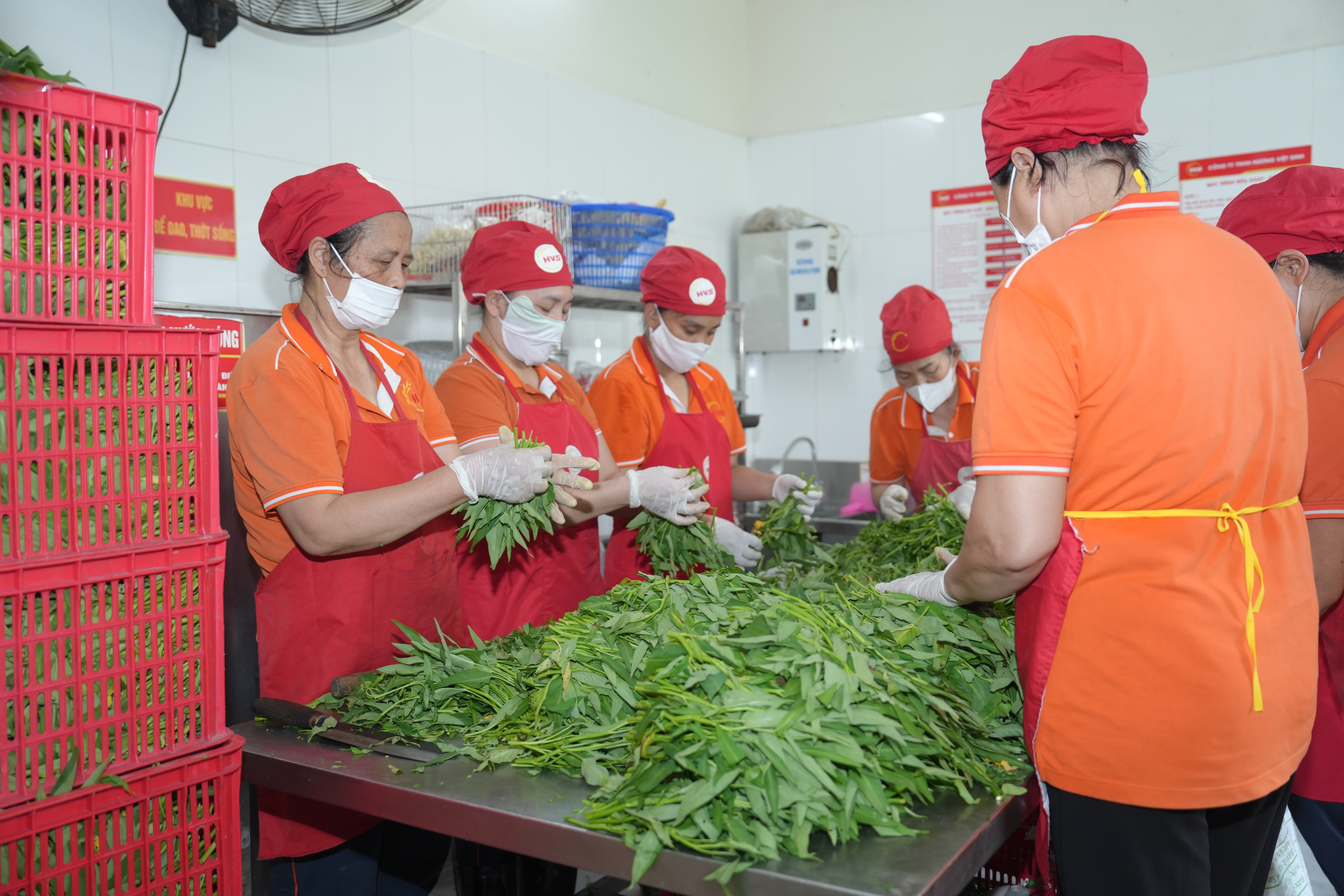 Phường Vĩnh Hưng đảm bảo an toàn thực phẩm trường học trong năm học mới Phường Vĩnh Hưng đảm bảo an toàn thực phẩm trường học trong năm học mới