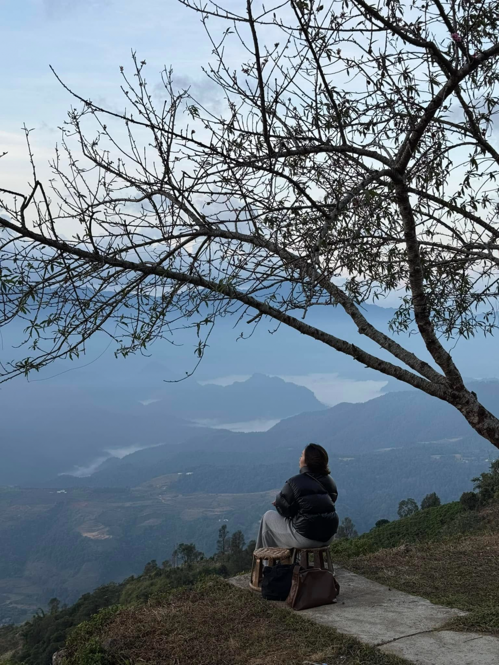 “Di cư ngược” và những giấc mơ "vỡ vụn" của người trẻ