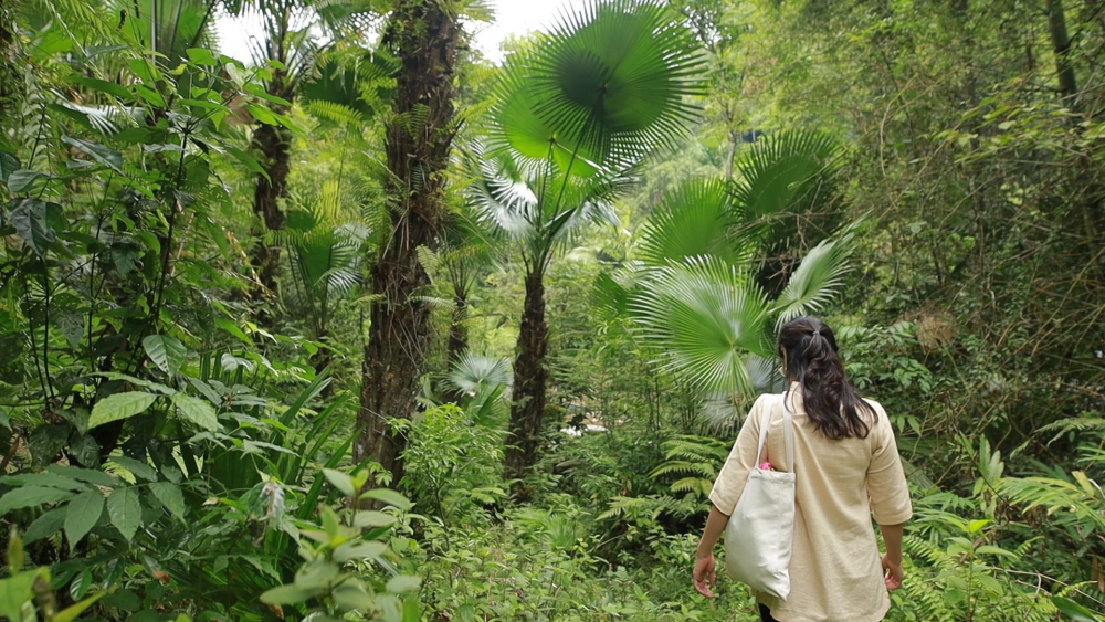 “Di cư ngược” và những giấc mơ "vỡ vụn" của người trẻ