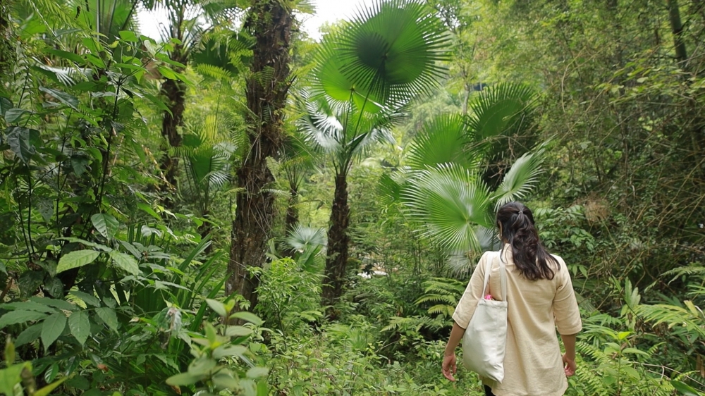 “Di cư ngược” và những giấc mơ "vỡ vụn" của người trẻ