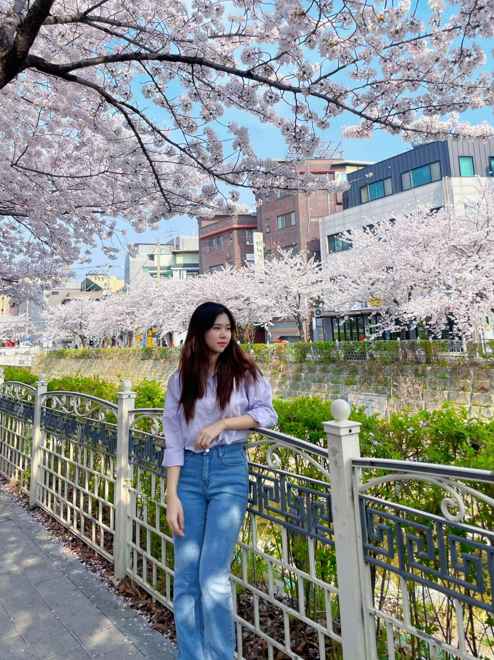 Giữ hồn Hà Nội giữa lòng thế giới