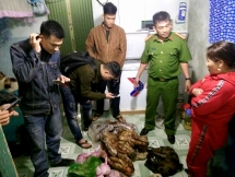 tam giu nguoi dan ba tang tru trai phep nhieu dong vat hoang da