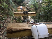 Bắt giữ "đoàn lâm tặc" đang khai thác, vận chuyển gỗ trái phép