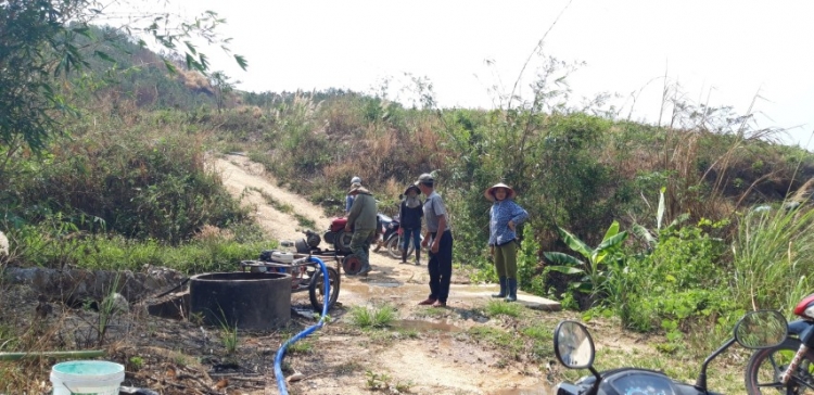 thuy dien ngan dong tich nuoc bat chap hang tram hec ta hoa mau chet kho