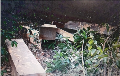 Liên tiếp phát hiện nhiều vụ tàng trữ gỗ lậu lớn