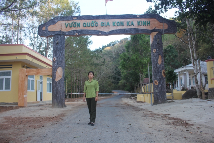 bong hong trong rung sau giua dai ngan tay nguyen