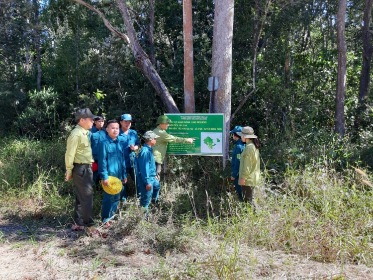 bong hong trong rung sau giua dai ngan tay nguyen