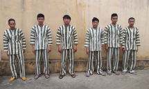 Bắt 6 đối tượng khai thác nhiều cây gỗ hương quý