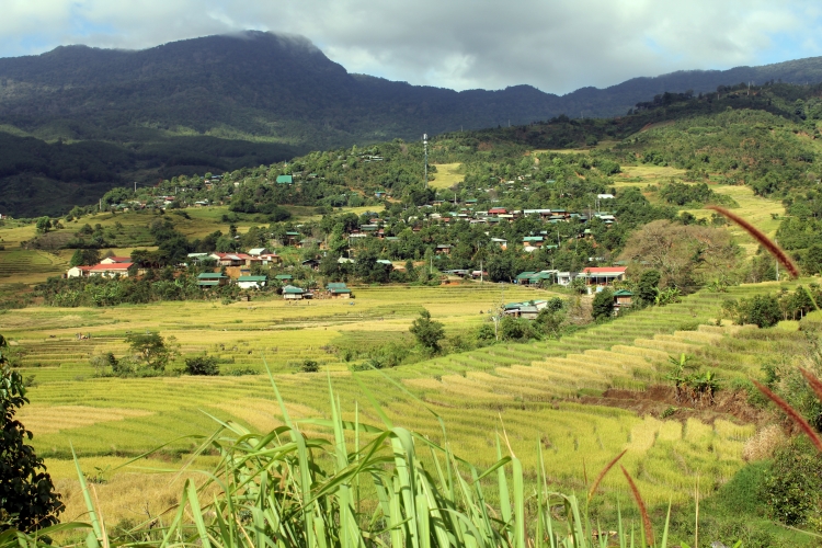 me man mua vang tren dinh mang ri