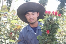 Thanh niên 9X làm giàu từ nghề trồng hoa hồng Bắc