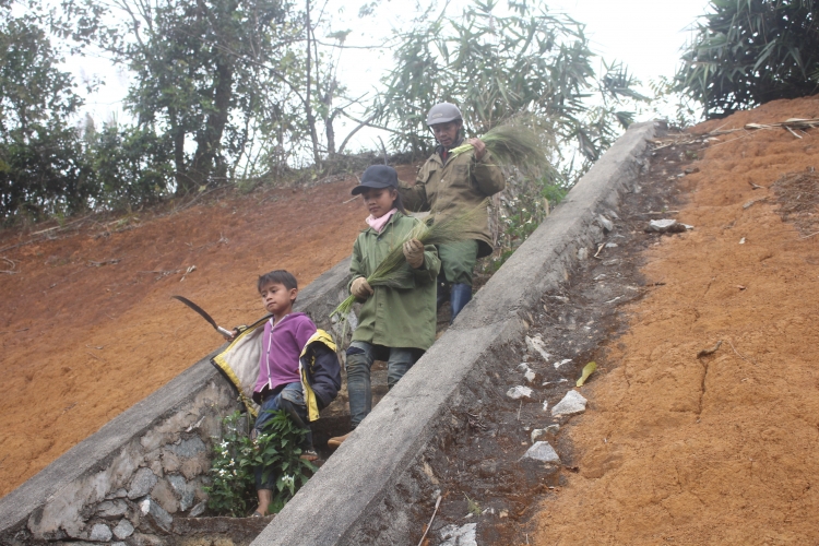 nhoc nhan nghe hai loc troi