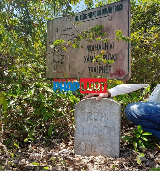 quang binh gan chuc hecta rung o quang chau bi pha tan hoang