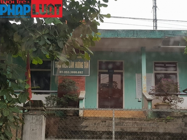 tiep bai pha rung o quang tri go rung chat nui trong nha may go dam