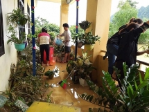 Những chậu hoa nhuộm màu bùn và tình người trong lũ