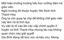 thanh hoa hieu truong truong tieu hoc bi to cuong dam cap duoi nhieu nam lien