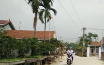 vinh phuc phan dau nam 2019 co 100 xa dat chuan nong thon moi