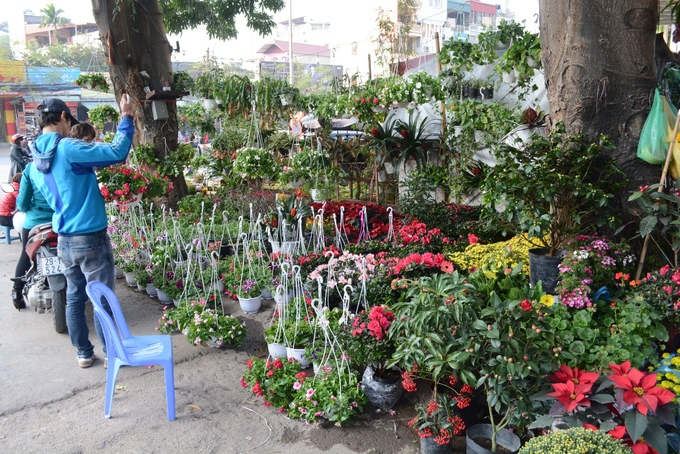 Chợ hoa Hoàng Hoa Thám là một trong ba chợ hoa nổi tiếng nhất Hà Thành. Điểm khác biệt của nơi đây là bày bán tất cả các loại hoa, cây cảnh, giống hoa, bon-sai, chậu hoa...