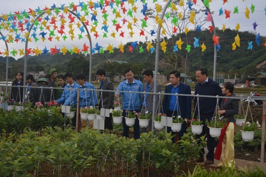 Mô hình sản xuất nông nghiệp công nghệ cao ra mắt tại vùng cao Yên Bái