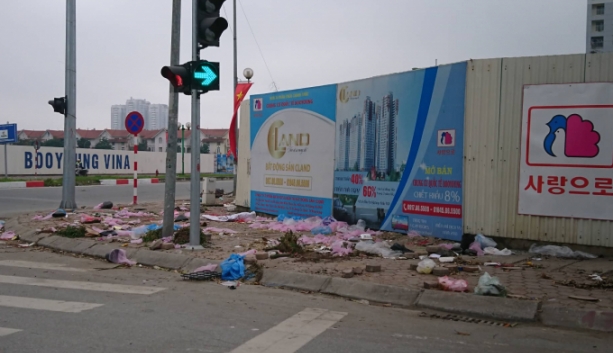 ha noi ngap rac sau phien cho ban hoa cay canh phuc vu tet nguyen dan