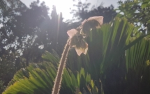 thu do ha noi don tet ky hoi voi chat luong khong khi tot