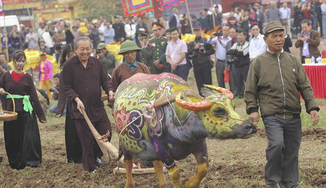 Phó Thủ tướng Thường trực Trương Hòa Bình cùng một số vị lãnh đạo thực hiện nghi thức xuống đồng đầu năm