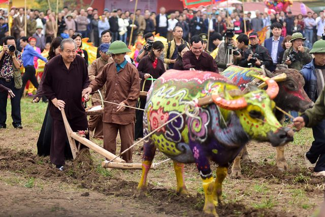 Phó Thủ tướng Chính phủ Trương Hòa Bình lội ruộng xuống đi cày trong Lễ hội Tịch Điền trên cánh đồng xã Đọi Sơn