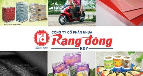 Công ty Cổ phần Nhựa Rạng Đông hiện có vốn điều lệ 340 tỷ đồng. Công ty hoạt động sản xuất mua bán hàng nhựa gia dụng, kỹ thuật: màng nhựa, giả da, tôn, ván nhựa, ống nhựa, bao bì in tráng ghép, vật liệu xây dựng, chai nhựa, áo mưa, cặp, túi xách (không sản xuất vật liệu xây dựng, tái chế phế thải, sản xuất nhựa tổng hợp, thuộc da tại trụ sở),...