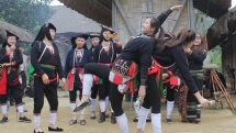 doc dao tet nhay cua nguoi dao trong ngoi nha chung tai ha noi