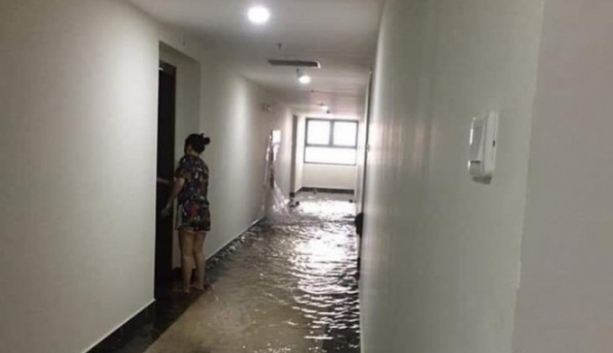 vo duong ong cuu hoa nhieu can ho chung cu an binh city ngap trong nuoc