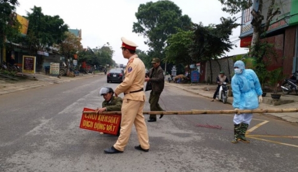 thanh hoa tieu huy gan 230 con lon nhiem dich ta chau phi