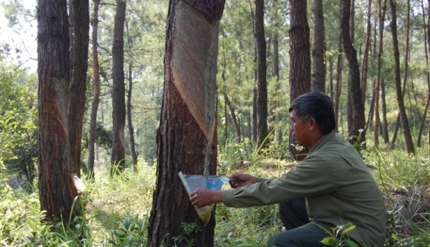 lang son phan dau nam 2019 co 60 xa dat chuan nong thon moi