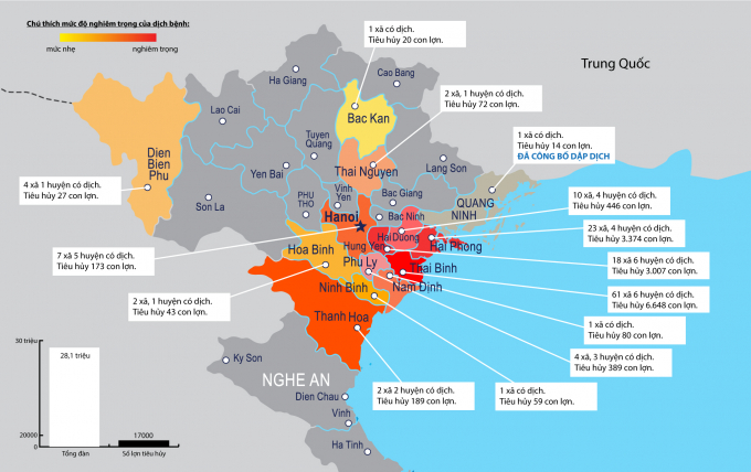 Bản đồ 14 tỉnh xuất hiện dịch tả lợn châu Phi tại Việt Nam và số lượng lợn phải tiêu hủy. Đồ họa: Phạm Mạnh