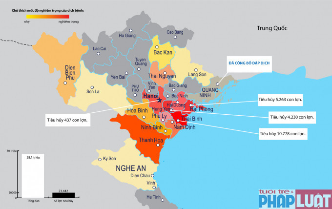 Bản đồ 17 tỉnh xuất hiện dịch tả lợn châu Phi tại Việt Nam và mức độ thiệt hại của ngành chăn nuôi. Đồ họa: Phạm Mạnh