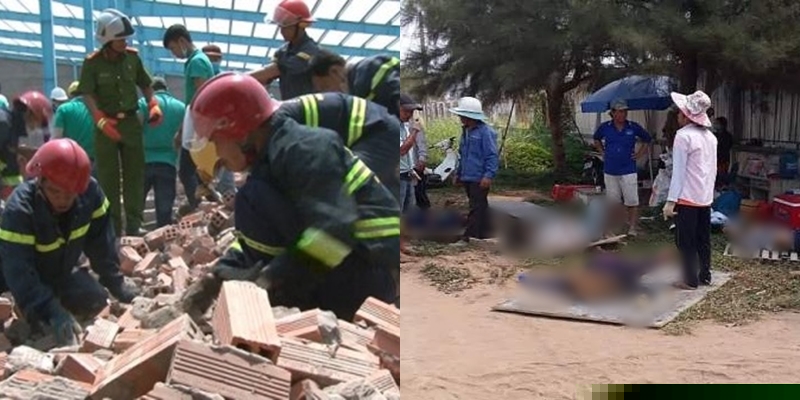 dang cay than phan phu ho ban suc nuoi mieng doi dau hiem nguy